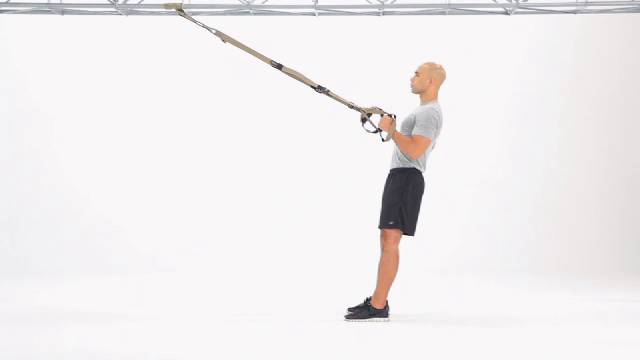 TRX Weekly Exercise TRX Single Arm Row